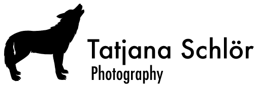go to home tatjana schloer photography